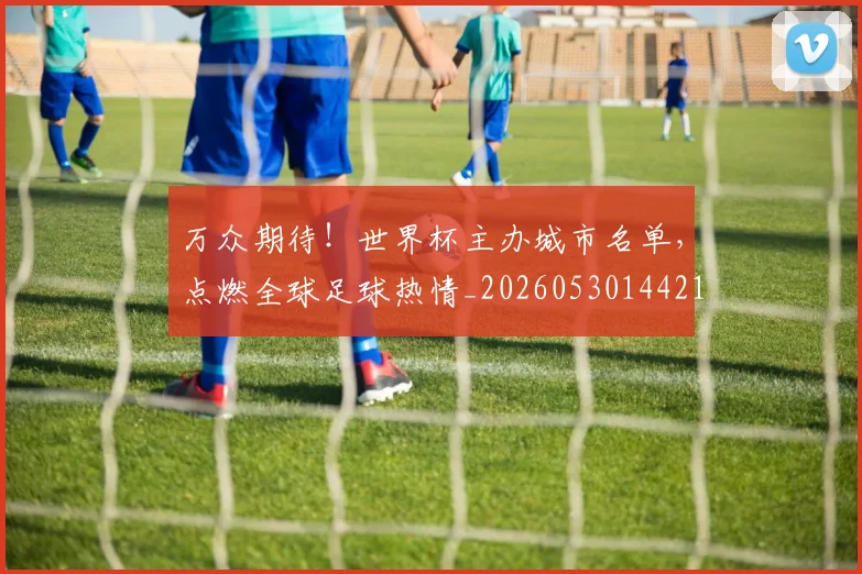 万众期待!世界杯主办城市名单,点燃全球足球热情_20260530144217