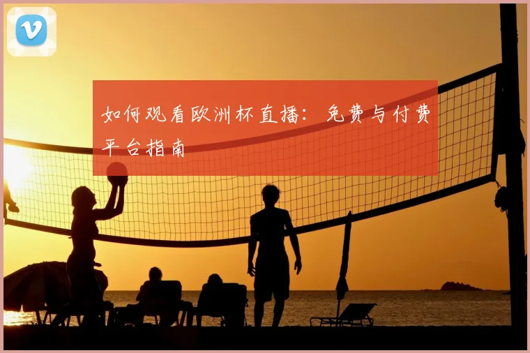 如何观看欧洲杯直播：免费与付费平台指南